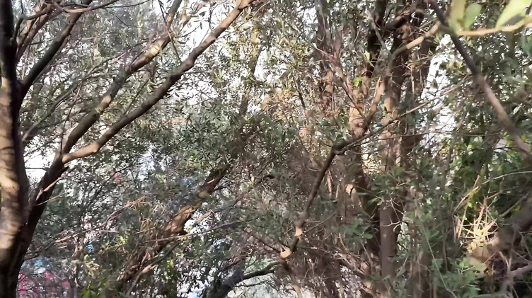 Публичный секс блондинки Misha Maver с испанским жеребцом недалеко от моря