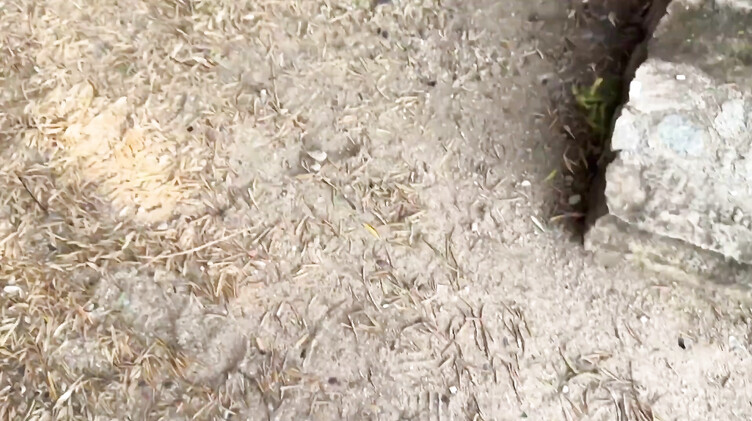 Публичный секс блондинки Misha Maver с испанским жеребцом недалеко от моря