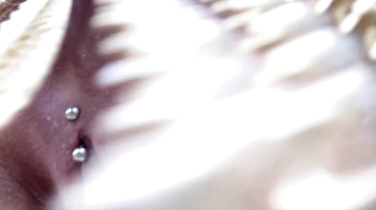 Эротический танец в джунглях от полуголой красотки и мастурбация пальчиками