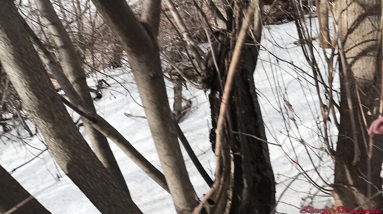 Ненасытные русские любовники несмотря на холод трахаются в парке зимой