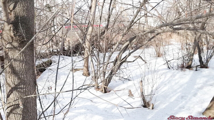 Ненасытные русские любовники несмотря на холод трахаются в парке зимой