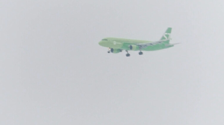 Отсасываю своему парню зимой в городском парке и глотаю сперму