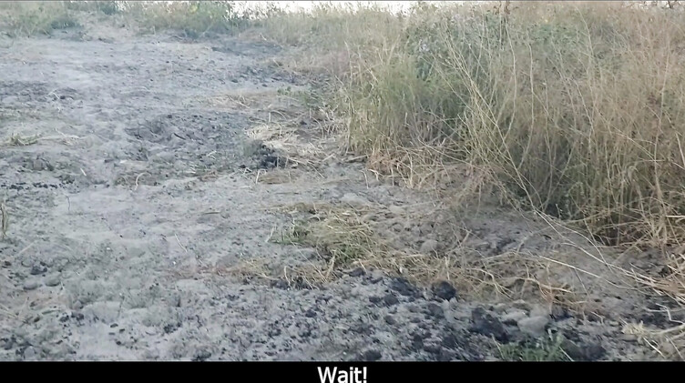 На природе: Тупая русская брюнетка отдалась на пляже незнакомцу и получила сперму в пизду