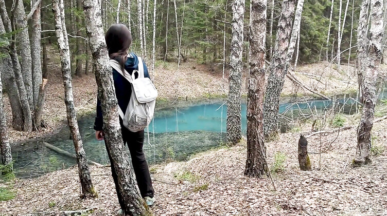 Быстрый анал возле озера в лесу