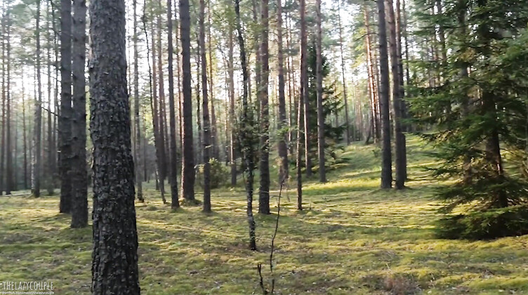 Сперма в жопе: Оприходовал худышку до анального кремпая на опушке леса