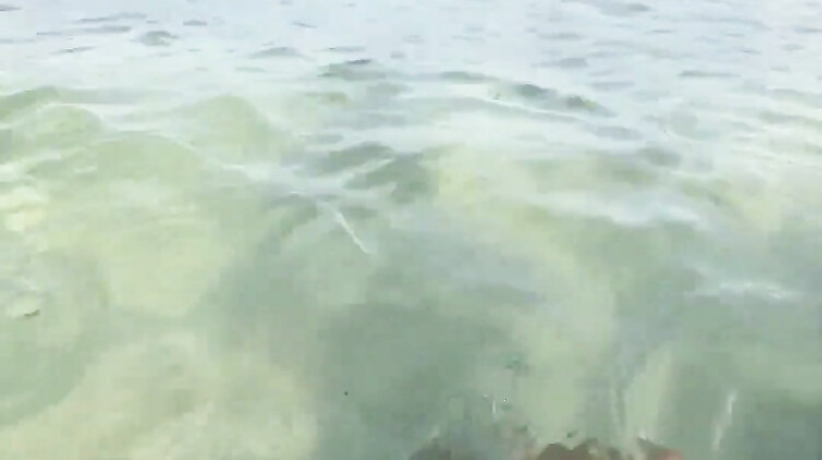 Девушка в купальнике отдыхая на море дрочит под водой член бойфренда