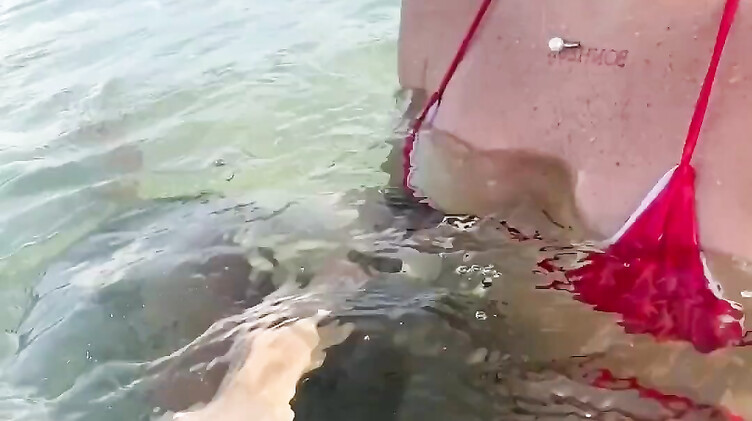 Девушка в купальнике отдыхая на море дрочит под водой член бойфренда