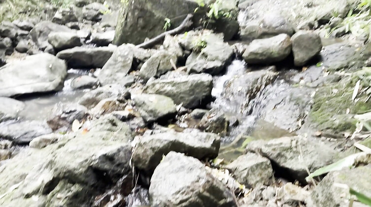 Сочный минет с проглотом красотки в коротких шортах