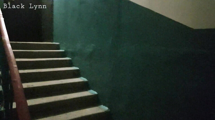 Курящая брюнетка сосет хуй на лестничной клетке