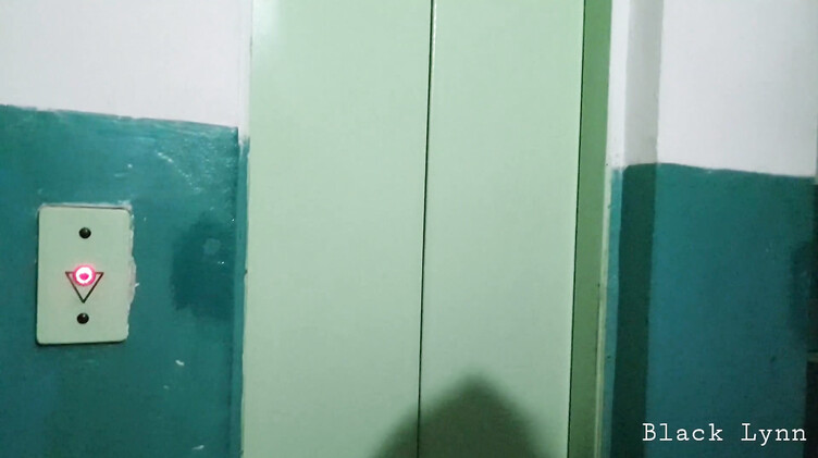 Замужняя русская брюнетка по-быстрому сосет в подъезде член соседа