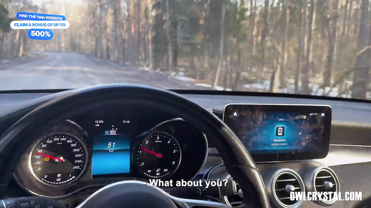 Оул Кристал в берете строчит минет богатому водителю мерса