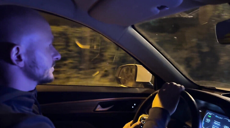 Лысый русский парень подвез и трахнул в машине жопастую незнакомку