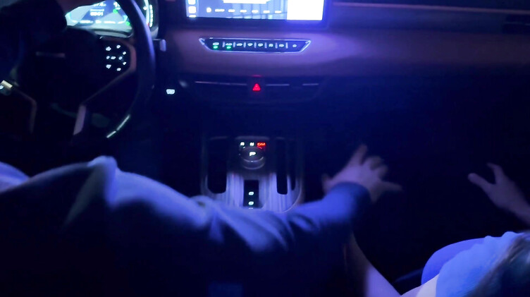 Лысый русский парень подвез и трахнул в машине жопастую незнакомку