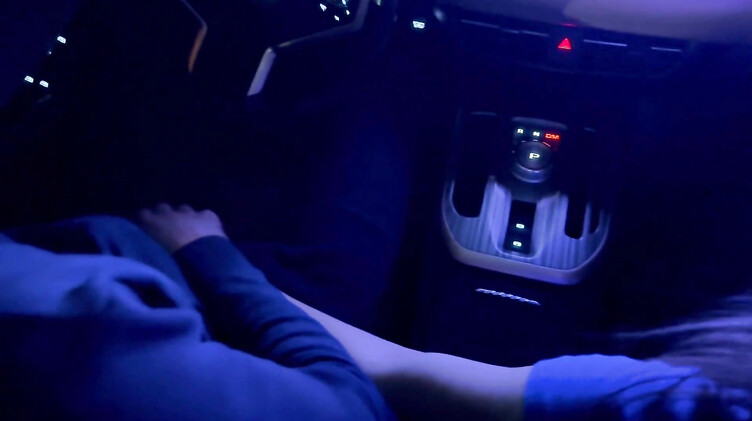 Лысый русский парень подвез и трахнул в машине жопастую незнакомку