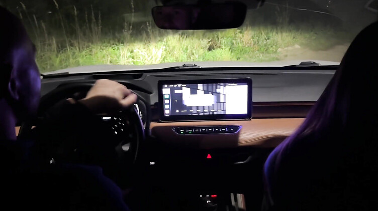 Лысый русский парень подвез и трахнул в машине жопастую незнакомку