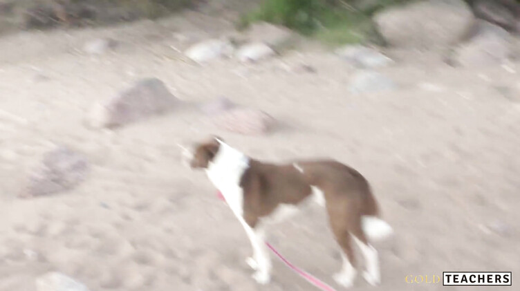 Худенькая девушка в платье сделала парню POV минет на пляже