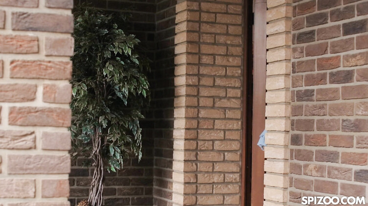 Красиво трахает 18-летнюю на диване после куни