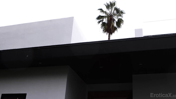 Сперма на лобке: Трахнул в глотку и пизду милфу Мелиссу Страттон в леопардовом белье